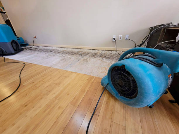 Professional Water Removal technician working in Cass City, MI